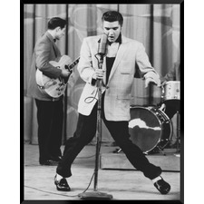 Elvis Framed Printed Wall Art