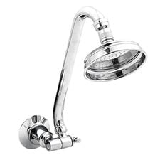 Noosa Multi Directional Gooseneck Shower & Arm