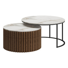 2 Piece Maureen Nesting Coffee Table Set