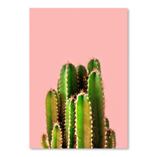 Cactus on Pink Printed Wall Art