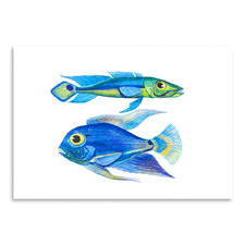 2 More Fish Printed Wall Art