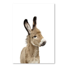 Little Donkey Printed Wall Art
