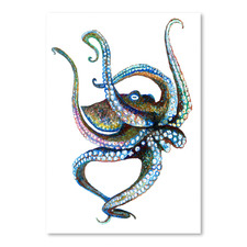 Octopus IV Printed Wall Art