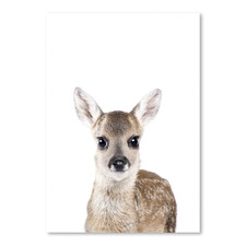 Fawn Printed Wall Art