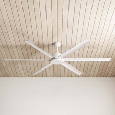 Albatross DC Ceiling Fan