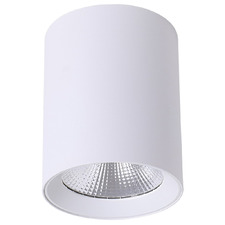 Paco LED Tri-Colour Surface Mount Downlight