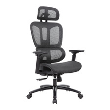 Caspersen High Back Office Chair