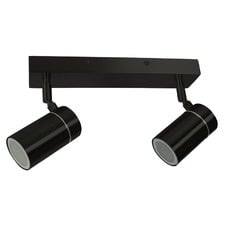 Caltaniss 2 Light Stainless Steel Outdoor Spotlight