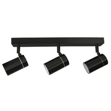 Caltaniss 3 Light Stainless Steel Outdoor Spotlight