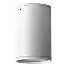Buxton Surface Mounted Ceiling Light