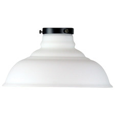 Miyun Clear Glass & Steel Ceiling Light Shade