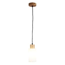 Bardeen Frosted Glass Pendant Light