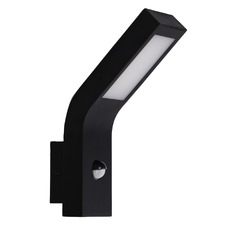 Reagan LED Motion Sensor Security Light