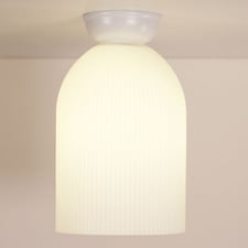Ziplow Steel DIY Batten Fix Ceiling Light
