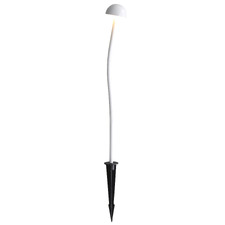 Nova 12V LED Garden Spike Light