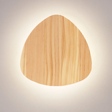 Raleigh Ash Wood Tri-Colour LED Wall Light