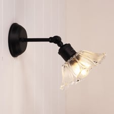 Cheston Glass Adjustable Armed Wall Light