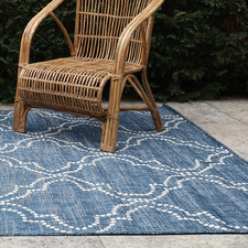 Jinju Indoor/Outdoor Rug