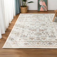 Anisha Machine Washable Rug