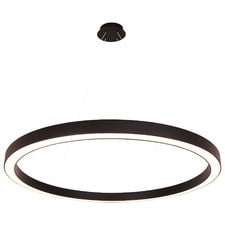 Curvor Black Stainless Steel LED Pendant Light
