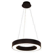 Curvor Black Stainless Steel LED Pendant Light