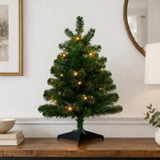 61cm Collins LED Christmas Tree