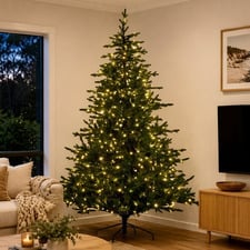 Largo Bellewood Fir LED Christmas Tree