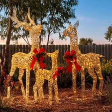 3 Piece Alto Reindeer LED Christmas Decoration Set