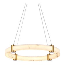 Iker Iron & Resin LED Pendant Light