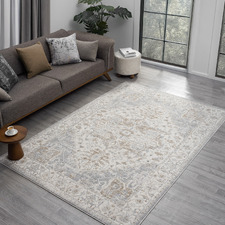 Surrcia Traditional Rug