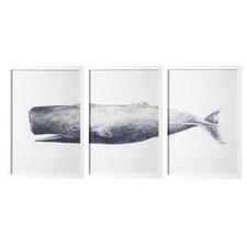 Whale Print Triptych Wall Art Set