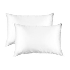 Mulberry Silk Standard Pillowcases (Set of 2)