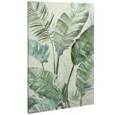 Rainforest Stretched Canvas Wall Art