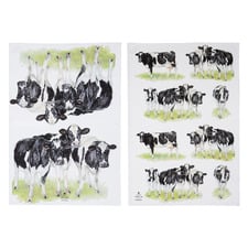 2 Piece Meet the Girls Cotton Kitchen Towel Set