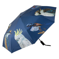 Modern Birds Rain Umbrella