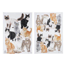 2 Piece Purrrfect Moments Kitchen Towel Set