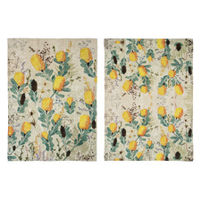2 Piece Golden Banksia Kitchen Towel Set