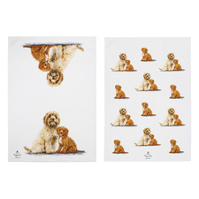 2 Piece Cavoodle Puppy Love Kitchen Towel Set