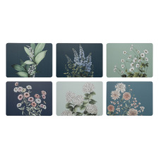 6 Piece Blue & Green Secret Garden Placemat Set
