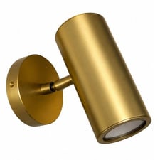 Nakuru Brass Wall Spotlight