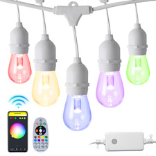 Yin Smart LED Festoon Lights with Remote Control
