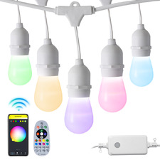 Yang Smart LED Festoon Lights with Remote Control
