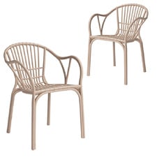Ione Outdoor Dining Chairs (Set of 2)