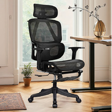 Halyna Mesh Office Chair with Footrest