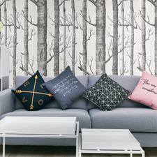 White & Grey Birch Tree Wallpaper