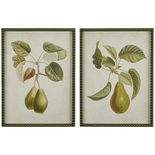 2 Piece Pyrus Framed Printed Wall Art Set