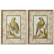 2 Piece Antigua Framed Printed Wall Art Set