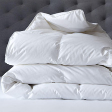 600GSM Cotton-Blend All Seasons Quilt