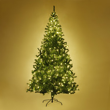 Sylvanus Light Up Christmas Tree