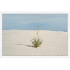 Desert Life Framed Print